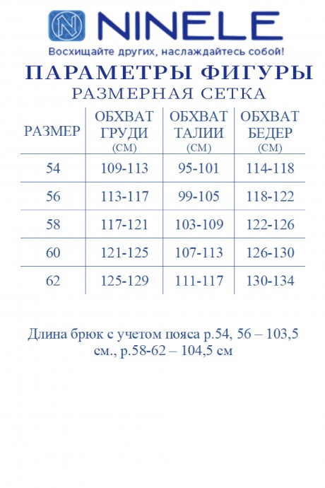 Костюм/комплект NINELE (Нинель Шик ) 5733 васильковый размер 54-62 #10